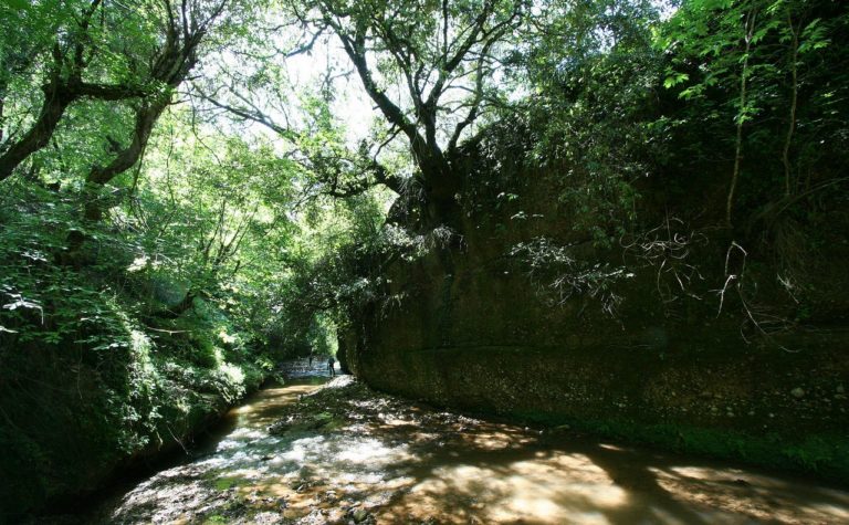 Εξόρμηση Ε.Ο.Σ. στο φαράγγι του Αντρωνίου