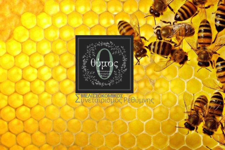Σεμινάρια στο Ρέθυμνο για τη μελισσοκομία (audio)