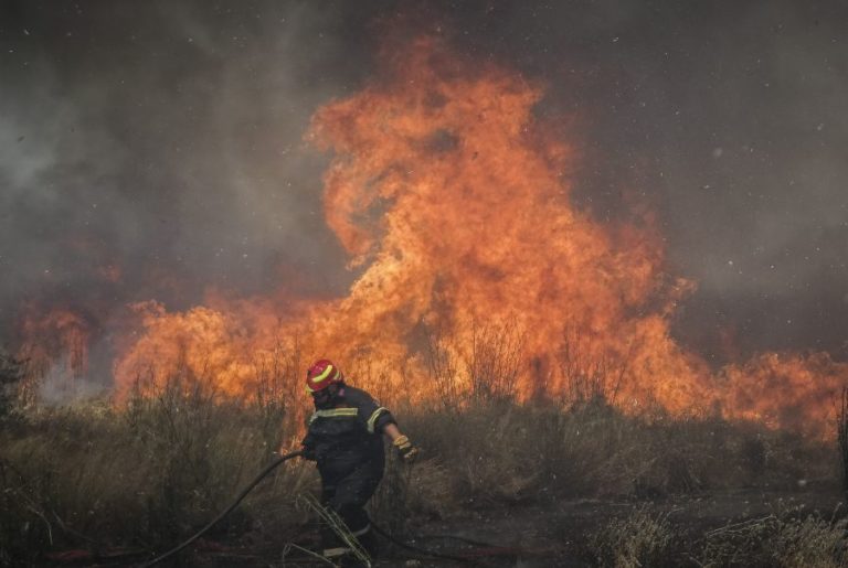 Φωτιά σε δασική έκταση κοντά στη μονή Χιλανδαρίου στο Άγιο Όρος