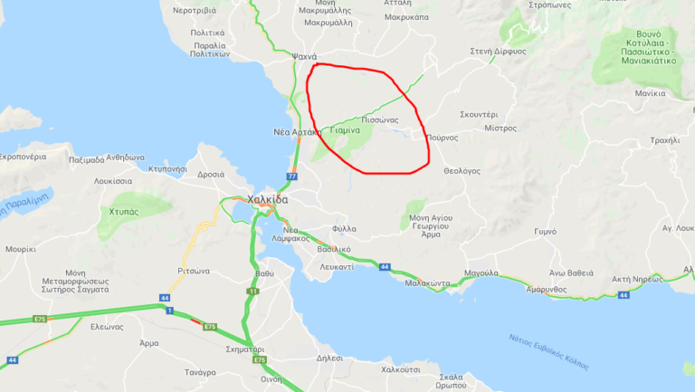 Μάχη με τις φλόγες στην Πισσώνα της Εύβοιας