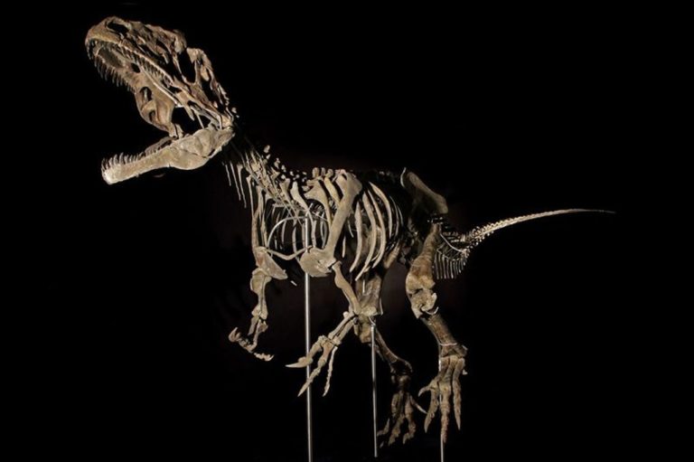 Σκελετός δεινοσαύρου πουλήθηκε σε δημοπρασία στο Παρίσι