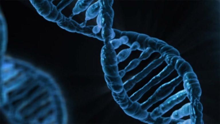 «Αποκωδικοποιήθηκε» το DNA 3.000 επικίνδυνων βακτηρίων
