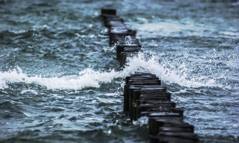 Κομοτηνή: 11-6-2018 ΕΡΤ Πρωινή  Ενημέρωση