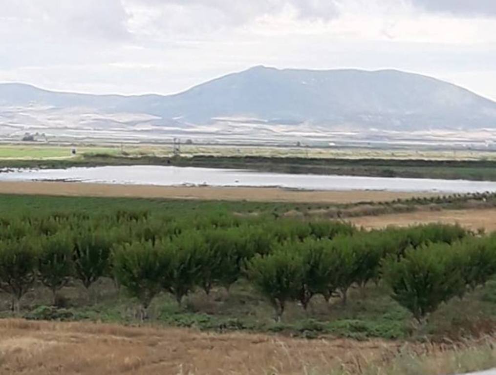 Μέτρα συγκράτησης του κόστους παραγωγής για αγρότες και κτηνοτρόφους από το υπουργείο Αγροτικής Ανάπτυξης