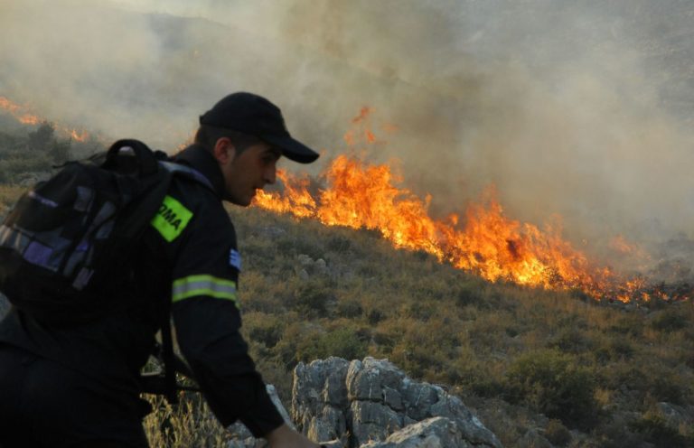 Υπό μερικό έλεγχο η πυρκαγιά στα Διάσελλα Ηλείας