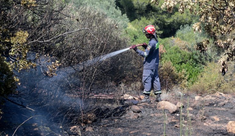 Υψηλός κίνδυνος πυρκαγιάς και σήμερα στη Μεσσηνία