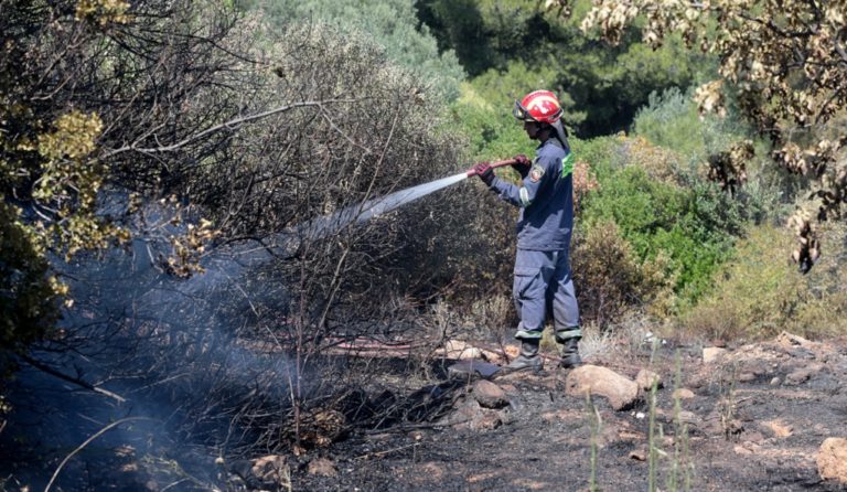 Πρώτη ημέρα του καλοκαιριού με 28 πύρινα μέτωπα