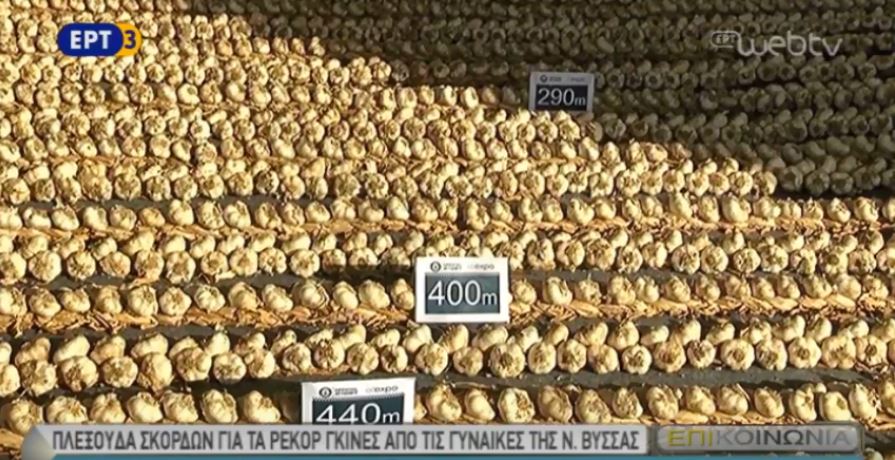 Στο ρεκόρ Γκίνες η πλεξούδα σκόρδων Ν. Βύσσας 600 μέτρων! (video)