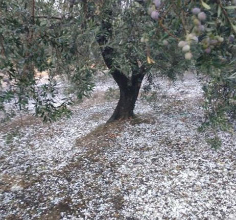 Σφοδρή χαλαζόπτωση σε περιοχές του δήμου Αγιάς