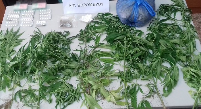 Αιτ/νια: Εντόπισαν δενδρύλλια και ναρκωτικά