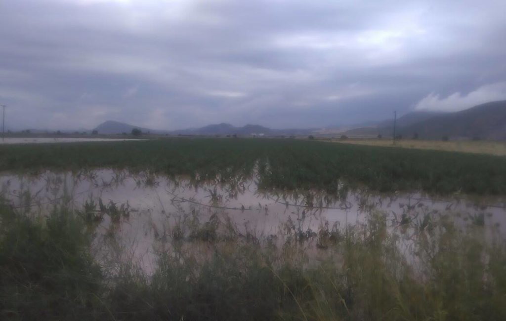Ρέματα και βροχή προκάλεσαν ζημιές σε καλλιέργειες στο Μακρυχώρι