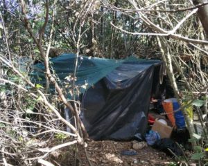 Καλά οργανωμένοι οι καλλιεργητές χασίς στη Φθιώτιδα