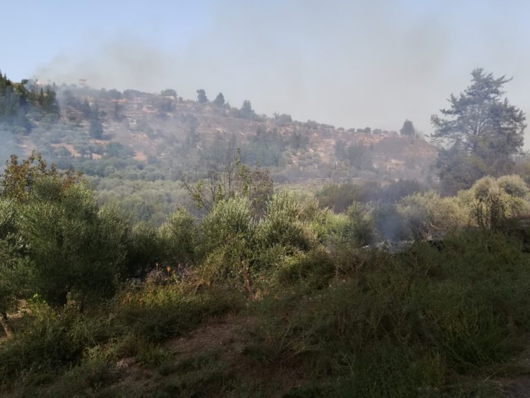 Ανοικτές οι πληγές από τις πυρκαγιές στον Αποκόρωνα (video)