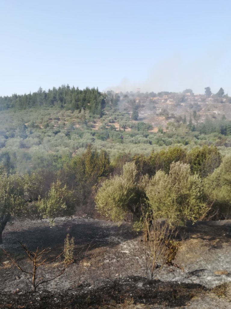 Χανιά: Χιλιάδες στρέμματα στάχτη στον Αποκόρωνα (audio)