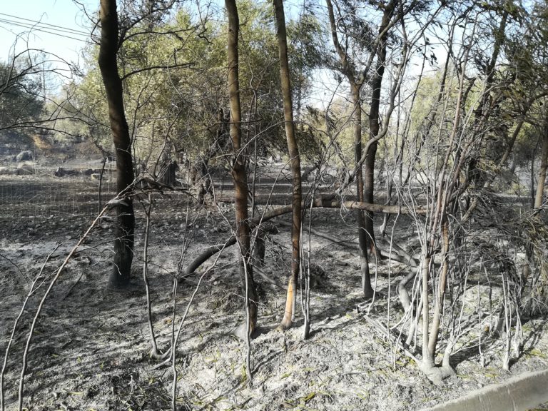 Γ. Μαραγκάκης: Έχουμε στοιχεία για τις πυρκαγιές σε Αποκόρωνα – Χανιά (audio – video)