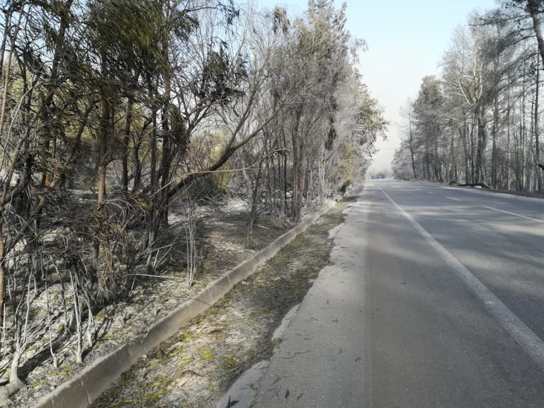 Σε ύφεση αλλά όχι υπό έλεγχο η πυρκαγιά στο Δήμο Αποκόρωνα (audio)