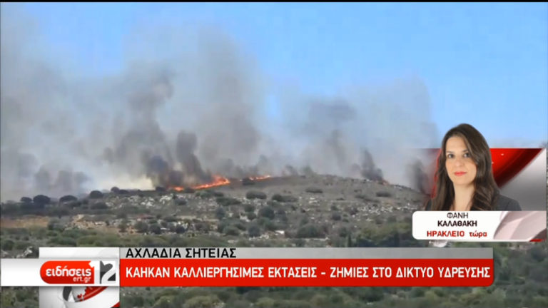 Σε ύφεση οι πυρκαγιές σε Ιεράπετρα και Σητεία (video)