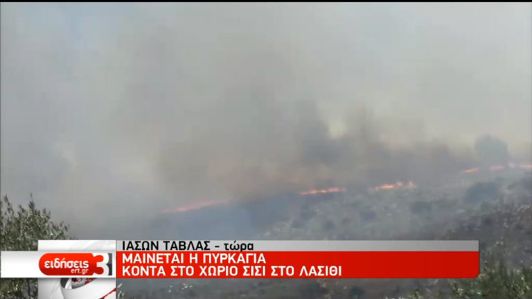 Μεγάλη πυρκαγιά ξέσπασε στο Σεληνάρι Λασιθίου (video)