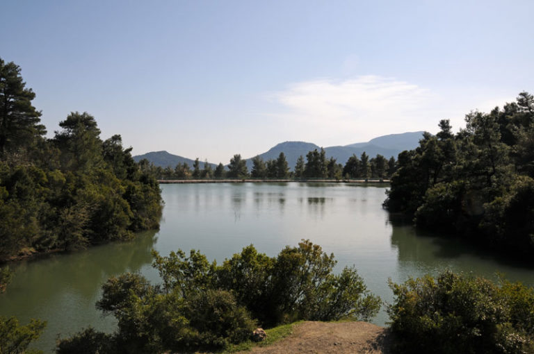 Χανιά: Φωτιά σε δασάκι στη λίμνη της Αγυιάς