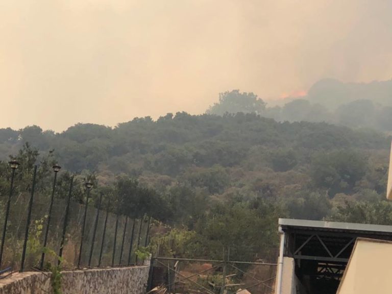 Υπό έλεγχο τα πύρινα μέτωπα στο Δήμο Πλατανιά (video – photos)