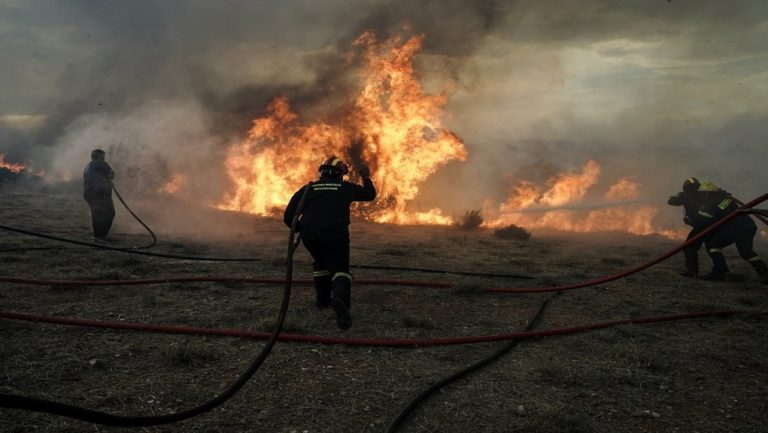 Πυρκαγιά σε έκταση στα Διαβατά Θεσσαλονίκης