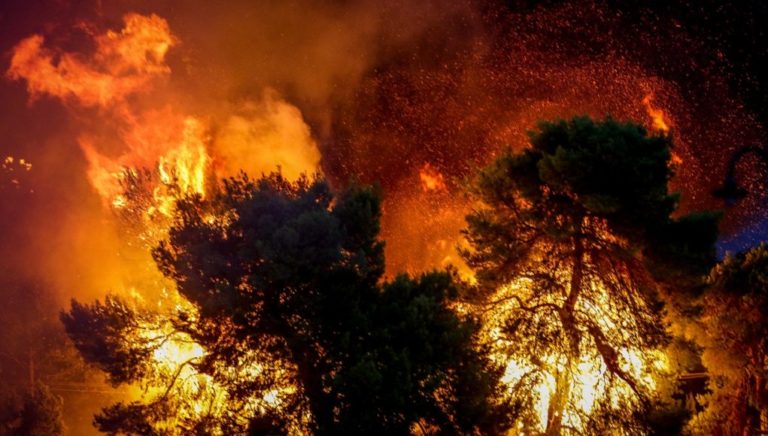 Καλαμάτα: Αλληλεγγύη στους πυρόποληκτους