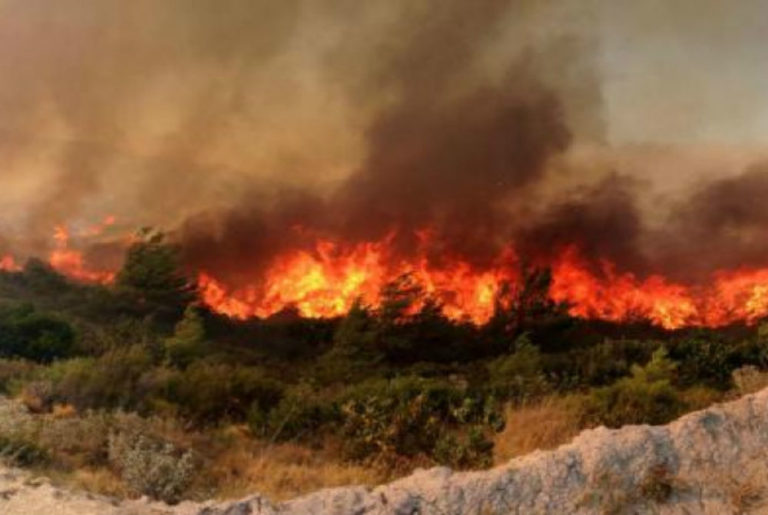 Πύρινο μέτωπο στη Σητεία