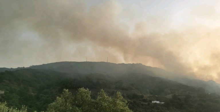 Στρέμματα καμένης γης από την φωτιά στον Δ. Πλατανιά (audio)