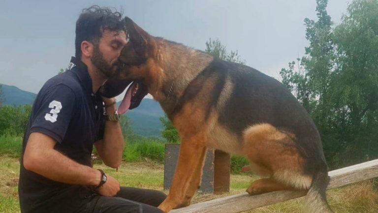 Δηλητηρίασαν το λυκόσκυλο που έσωσε κόσμο μετά τον σεισμό στην Αματρίτσε
