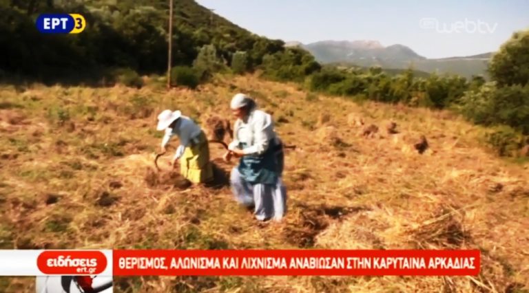 Θερισμός, αλώνισμα και λίχνισμα αναβίωσαν στην Καρύταινα Αρκαδίας (video)