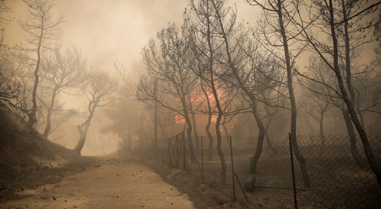 Μεγάλη πυρκαγιά στην Κινέτα-Εκκενώθηκαν οικισμοί (video)