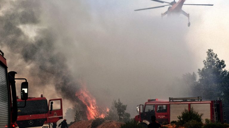 Προφυλακίστηκε ο κατ΄ ομολογία 35χρόνος εμπρηστής του Μαραθώνα