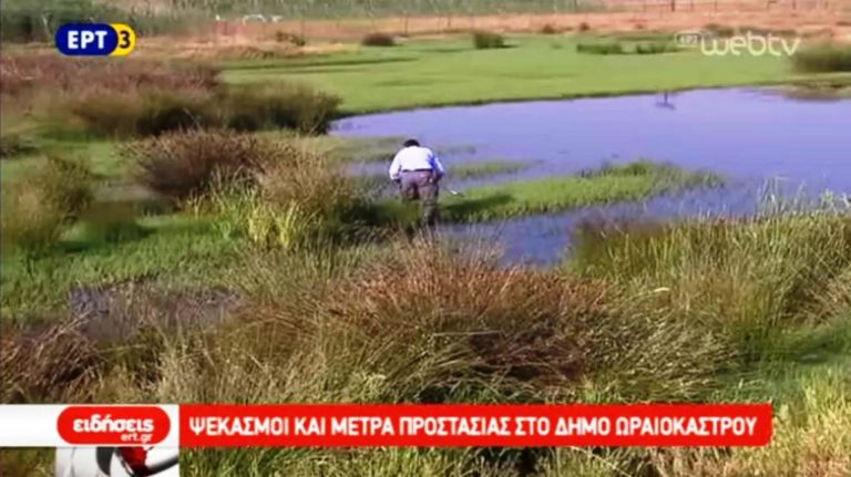 Τρία τα κρούσματα του ιού του Δ. Νείλου στην Κ. Μακεδονία (video)