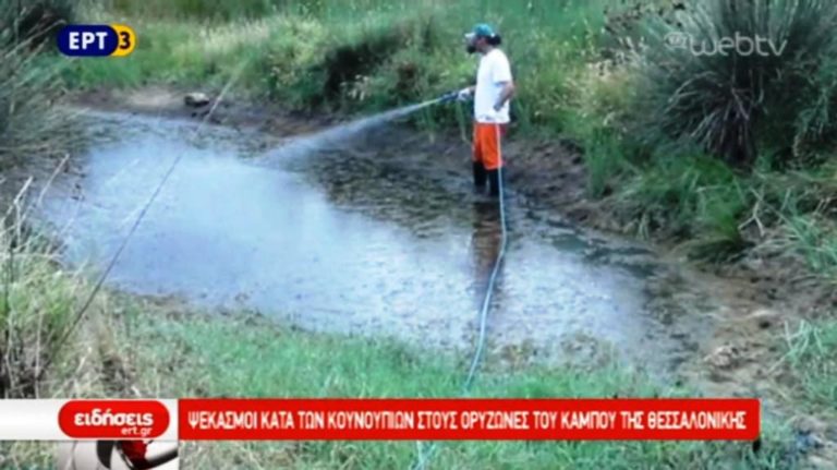 Ψεκασμοί για τα κουνούπια στους ορυζώνες της Κ. Μακεδονίας (video)