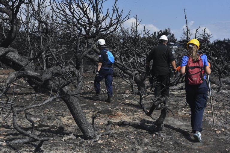 Οι μακροχρόνιες συνέπειες στις πυρόπληκτες περιοχές