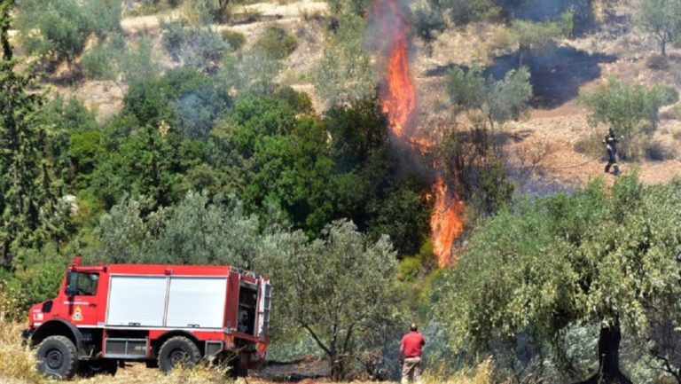 Νέες πυρκαγιές σε Ηράκλειο και Ρέθυμνο