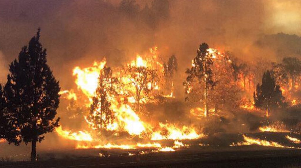 Σέρρες: Εστίες φωτιάς σε Λυγαριά και Πλατανάκια