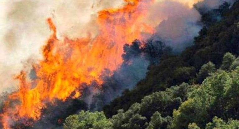 Σε εξέλιξη φωτιά στο Δήμο Ρεθύμνου κοντά στο Αρόλιθι       