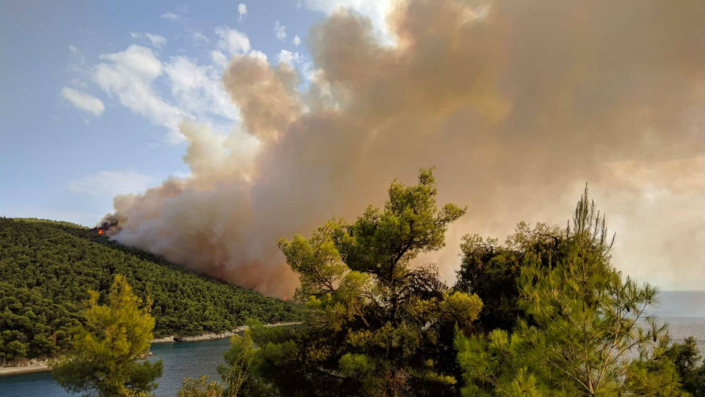 Πυρκαγιά στην περιοχή Αμάραντος στη Σκόπελο (video)