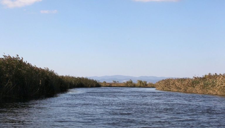 Διδυμότειχο: Πτώμα άνδρα βρέθηκε στις όχθες του Έβρου