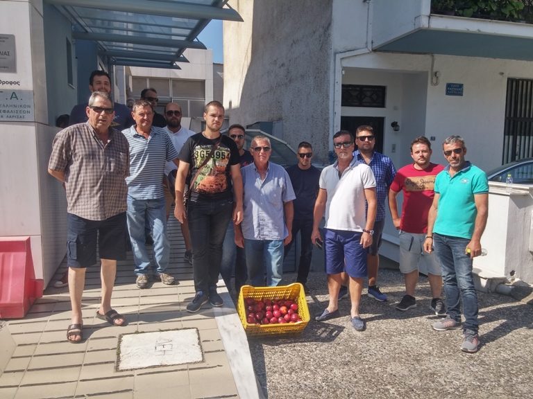 Σε απόγνωση οι ροδακινοπαραγωγοί της επαρχίας Τυρνάβου. Δεν προβλέπονται αποζημιώσεις