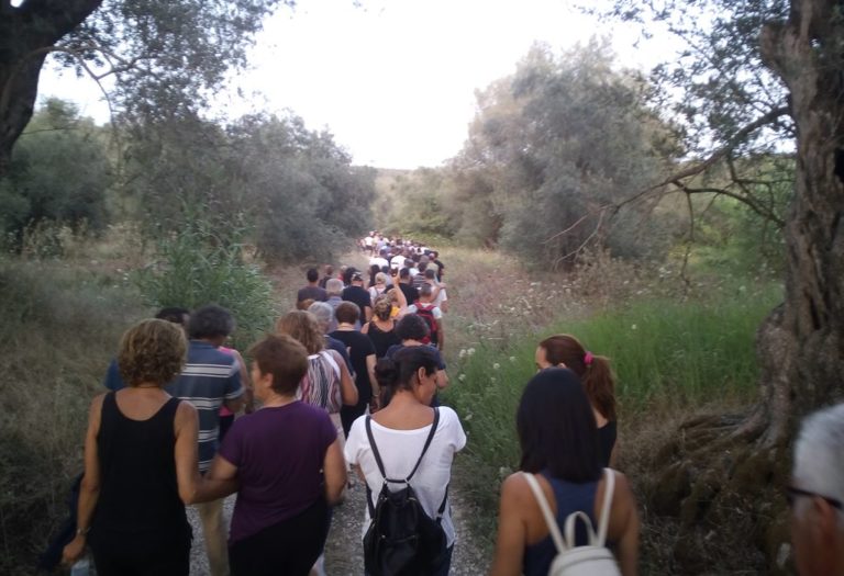 Μία σύλληψη και προσαγωγές στη Λευκίμμη