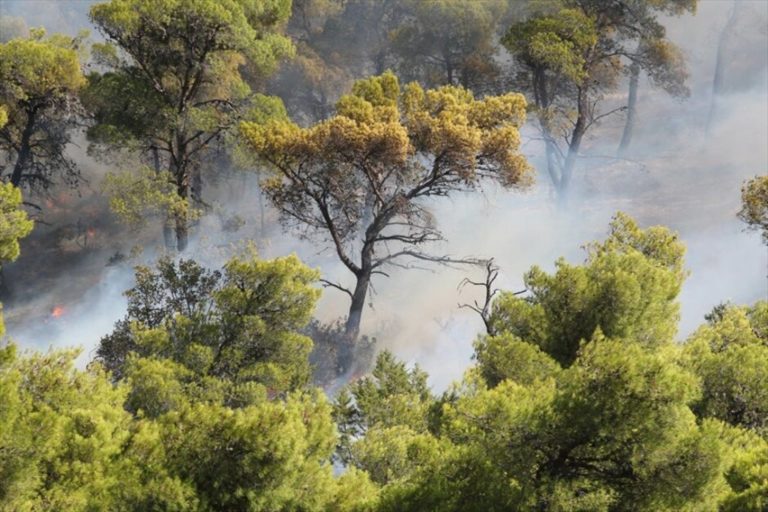 Η.Μπούκας: Στο  80% του βουνού που γειτνιάζει με τον Ίασμο δεν υπάρχει άμεση πρόσβαση