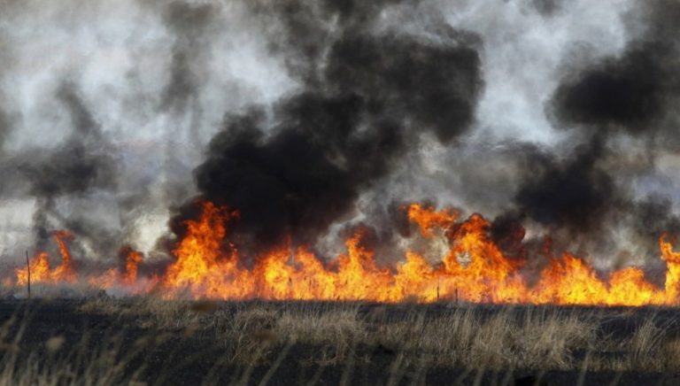 Κορινθία: Σε ύφεση οι πυρκαγιές σε Γεράνεια και Ζεμενό