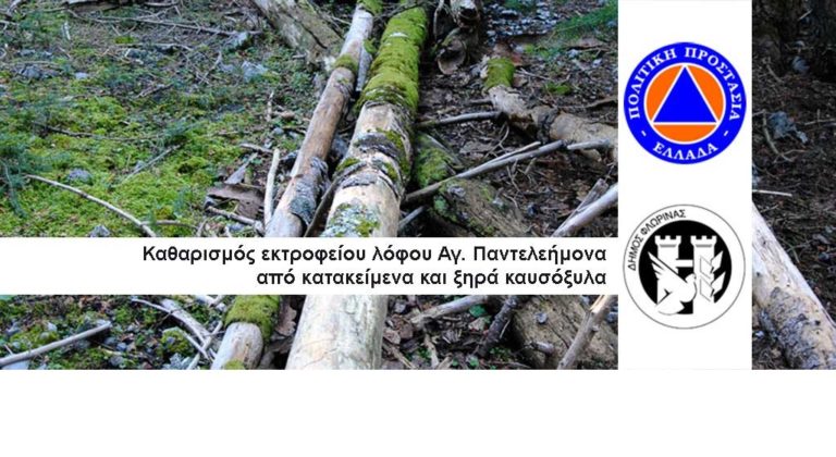 Φλώρινα: Συλλογή κατακείμενων και ξηρών καυσόξυλων