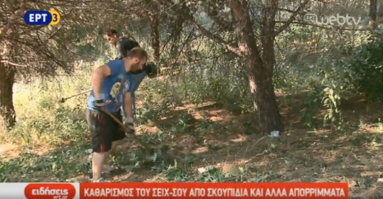 Καθαρισμός του Σέιχ-Σου από σκουπίδια και άλλα απορρίμματα (video)