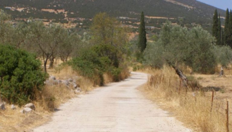 Έργα αγροτικής οδοποιίας στην Θεσσαλία