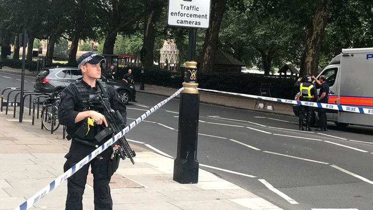 Τρόμος στο Λονδίνο: ΙΧ έπεσε στο φράχτη του Κοινοβουλίου (video)