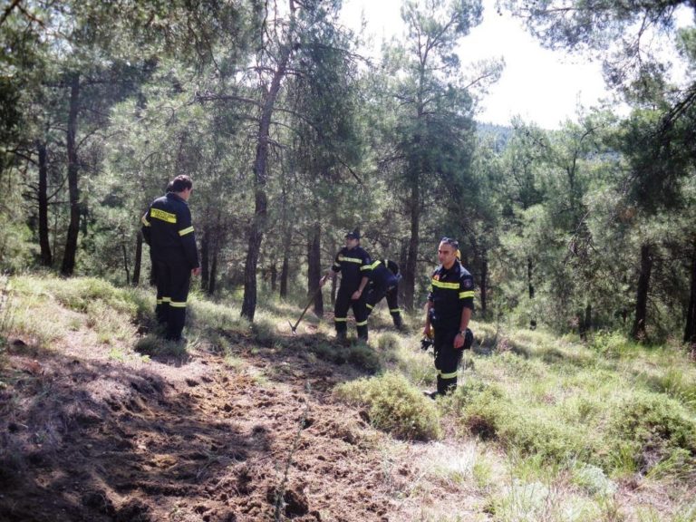 Κρήτη: Σε δασικές υπηρεσίες 220 άνεργοι