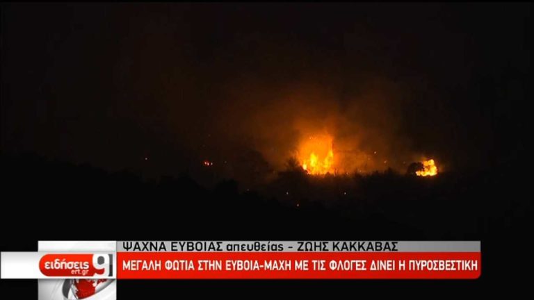 Μεγάλη φωτιά στην κεντρική Εύβοια – Εκκενώθηκαν δύο χωριά (video)